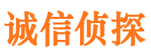 米东侦探公司